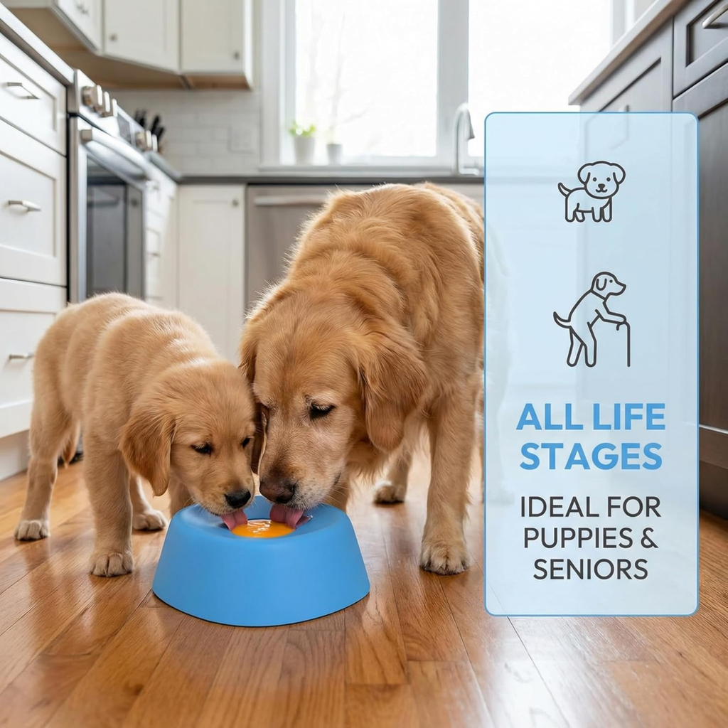 Slow Feeder Dog Lick Bowl