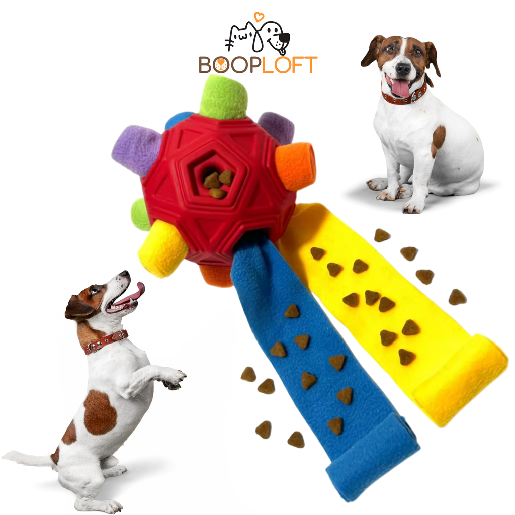 ⚽ SnuffleRibbon 2-in-1 Ball & Puzzle Slow Feeder