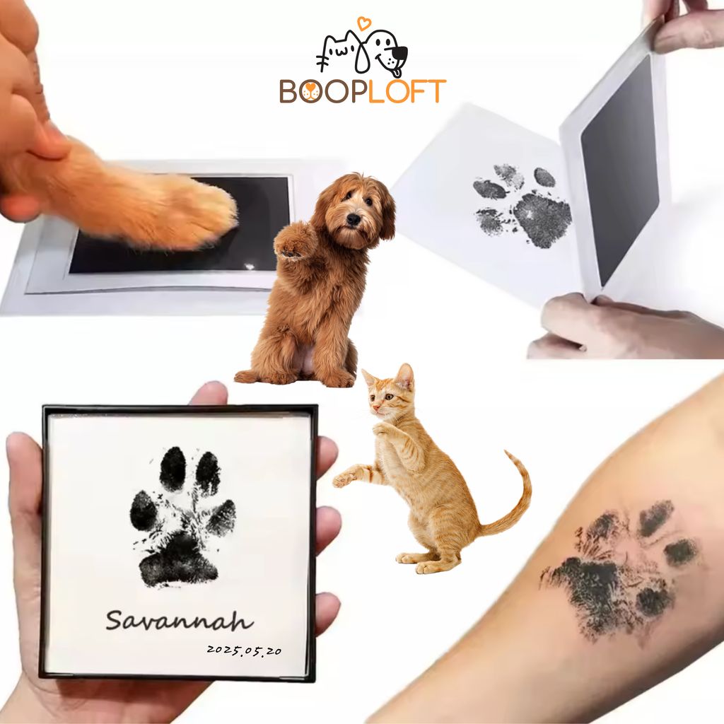 Ink-less Memories DIY Nose and Paw Print Impression Making Kit